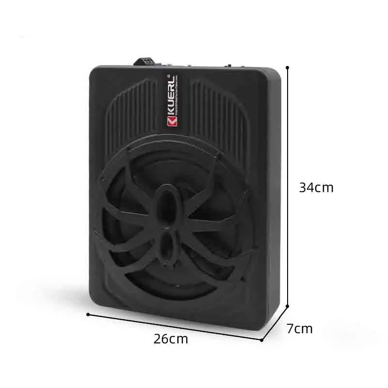 12V 10-Inch 800W Linear Control Car Mounted Power Amplifier with Active Stereo and Ultra-Thin Subwoofer - DriveNova
